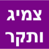 צמיג ותקר