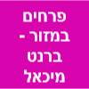 פרחים במזור - ברנט מיכאל