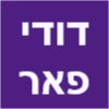 דודי פאר image