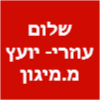 שלום עוזרי - יועץ מערכות מיגון