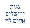 אחים לוי גגות ירושלים