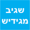 שגיב מגידיש השכרת מעמיס טלסקופי